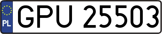 GPU25503