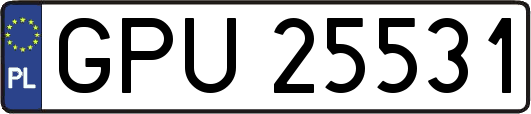 GPU25531