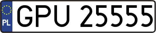 GPU25555