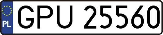 GPU25560