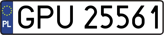 GPU25561