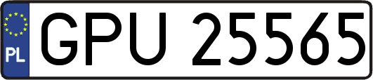 GPU25565