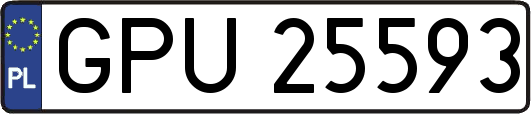 GPU25593