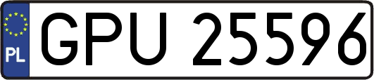 GPU25596