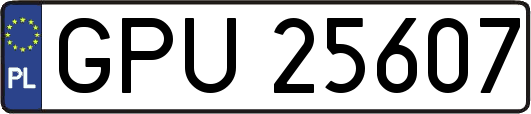 GPU25607