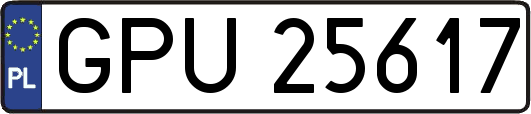 GPU25617