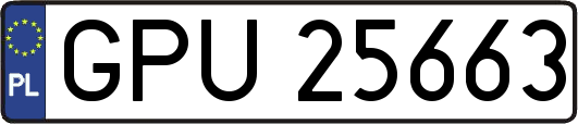 GPU25663