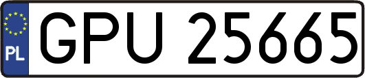 GPU25665