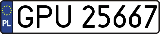 GPU25667