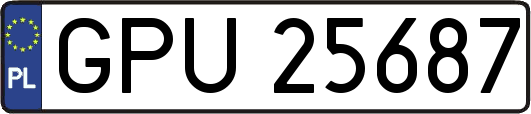 GPU25687