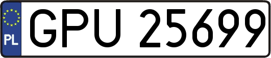 GPU25699