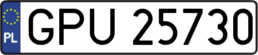 GPU25730