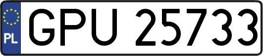 GPU25733
