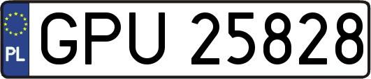 GPU25828