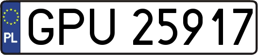 GPU25917