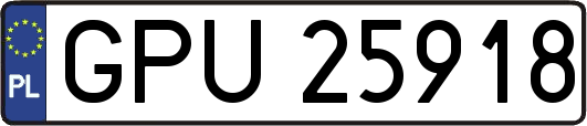 GPU25918