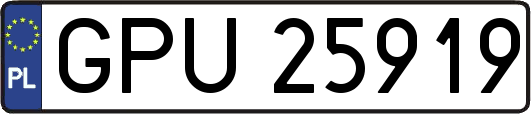 GPU25919