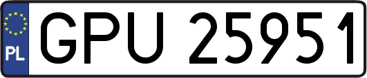 GPU25951
