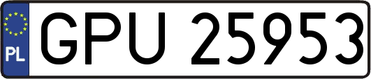 GPU25953