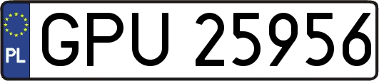 GPU25956