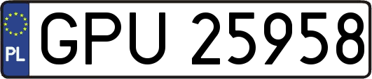 GPU25958