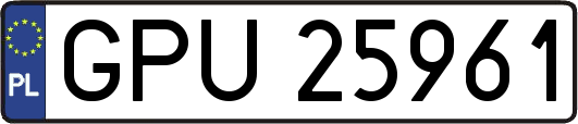 GPU25961