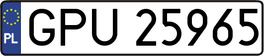 GPU25965