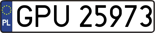 GPU25973