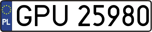 GPU25980