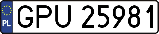 GPU25981