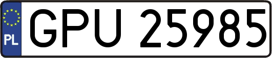 GPU25985