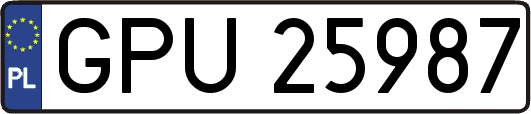 GPU25987