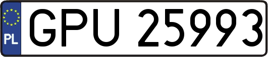 GPU25993