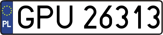 GPU26313