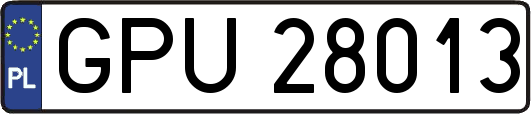 GPU28013