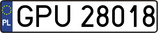 GPU28018