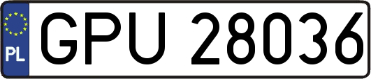 GPU28036