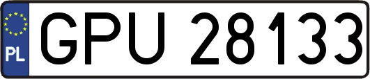 GPU28133