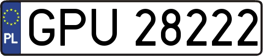 GPU28222