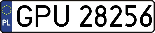 GPU28256