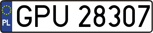 GPU28307