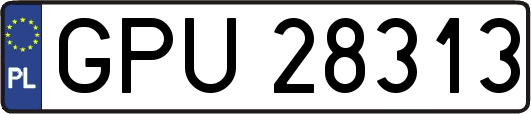 GPU28313