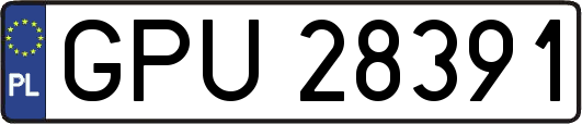 GPU28391