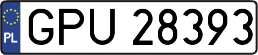GPU28393
