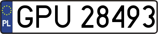 GPU28493
