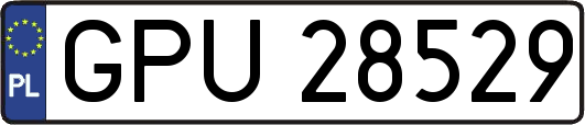 GPU28529