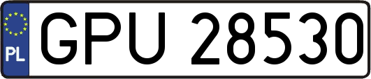 GPU28530