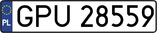 GPU28559