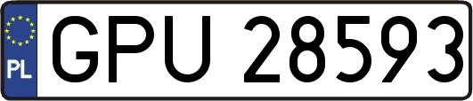 GPU28593