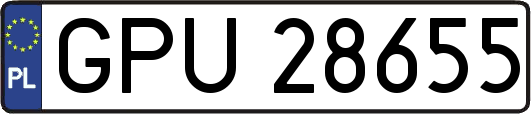 GPU28655